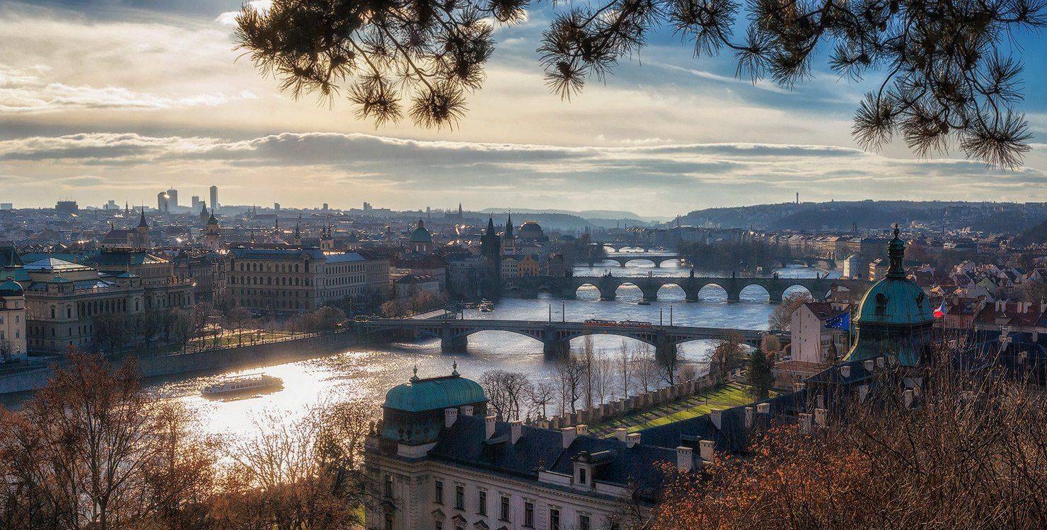 , Игорь Мелекесцев