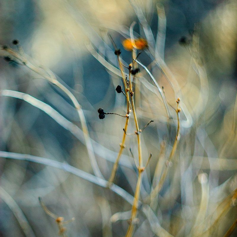 Нити-нити не тянитеphoto preview