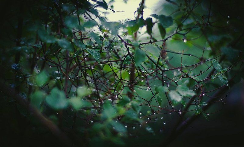 Затишьеphoto preview