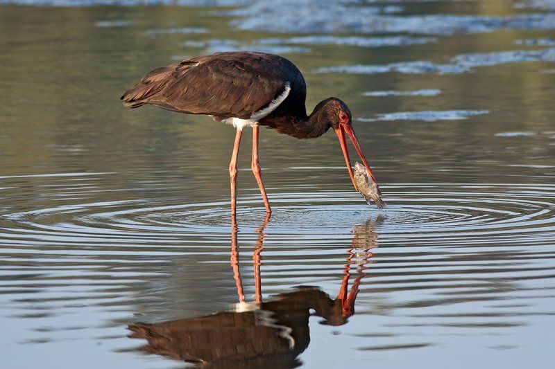 На рыбалкеphoto preview