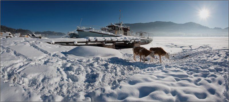 алтай, артыбаш зима... что делать нам в деревне...photo preview