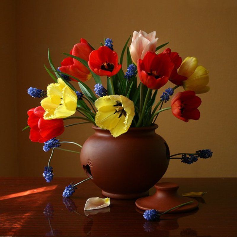 Тюльпаны.photo preview