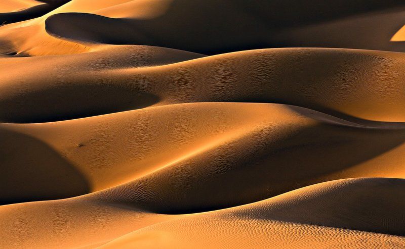 Golden lightphoto preview