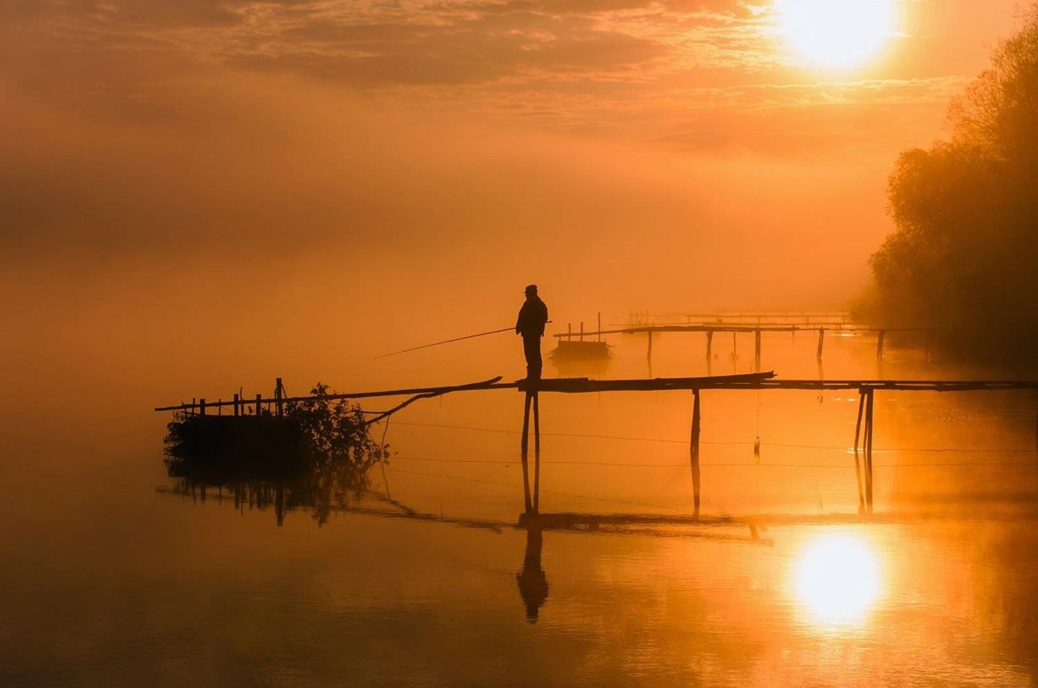 Золотое туманное утро. Автор: Игорь , Игорь