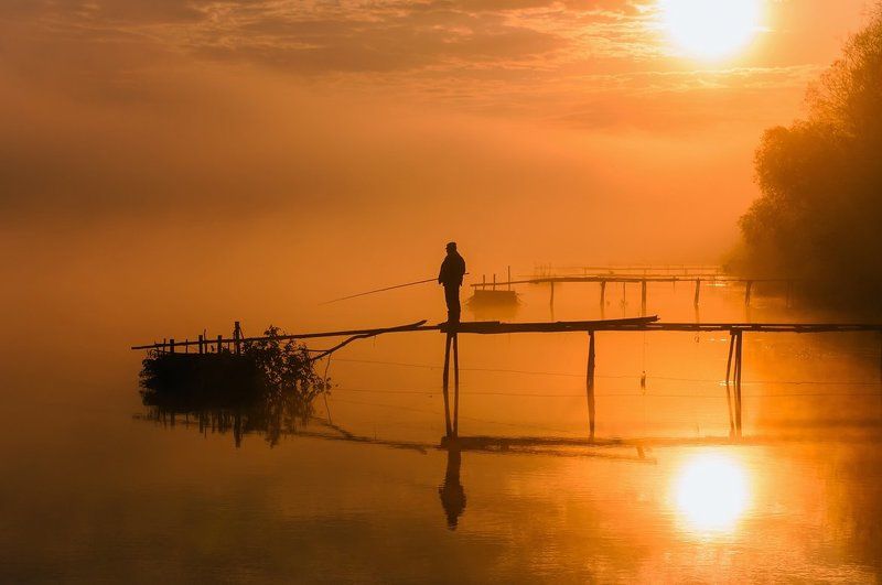 Золотое туманное утроphoto preview