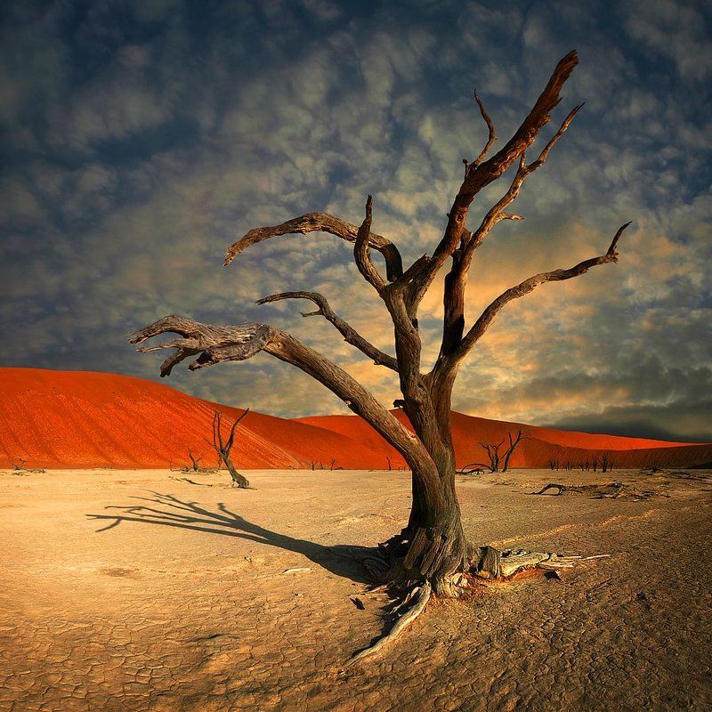 Ктулху фхтагн!photo preview