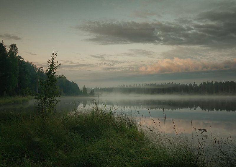 *** Утреннееphoto preview