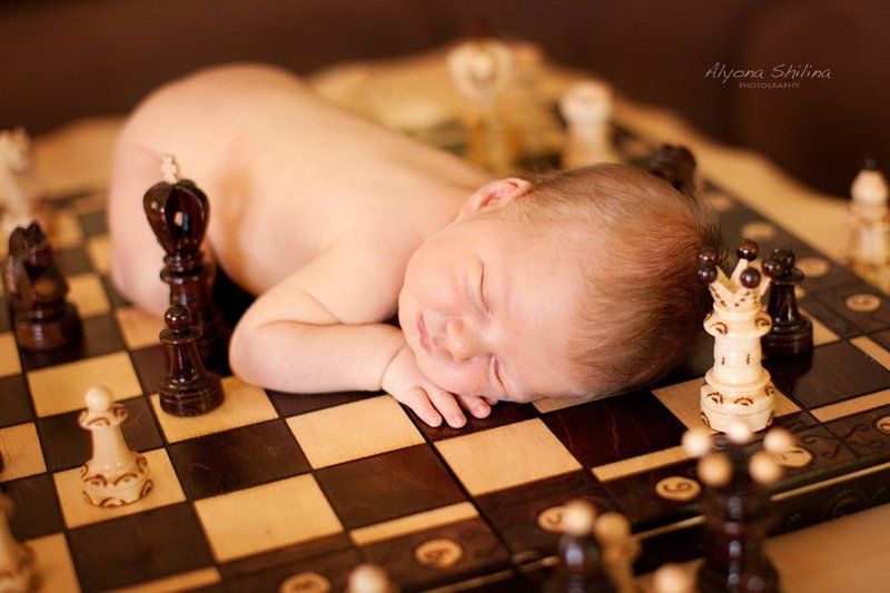 One week old chessmaster)photo preview