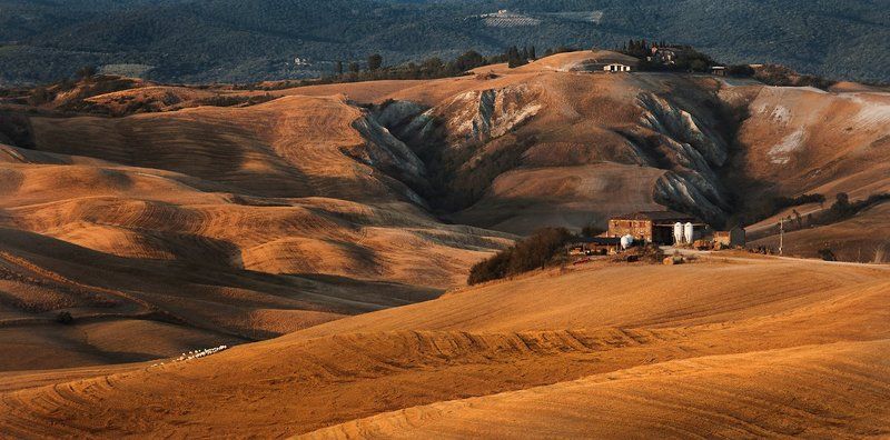 Hot dayphoto preview