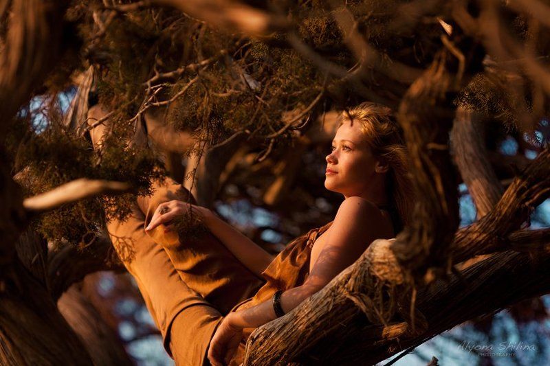 Mimicryphoto preview