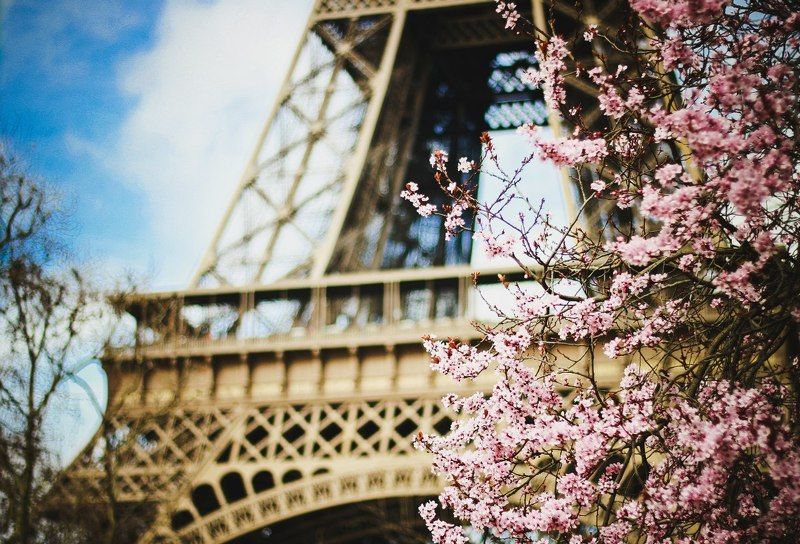 Францияphoto preview