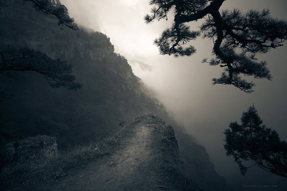 Автор: Юрий Коваленко kovalenko, крым, ч/б, горы, лес, туман, Юрий Коваленко