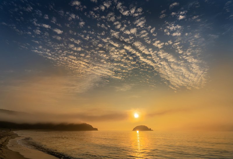 Утренний подарок.photo preview