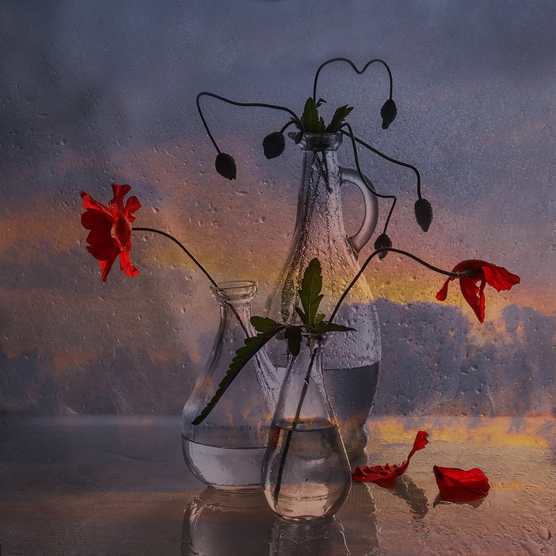 Облетают последние маки...photo preview