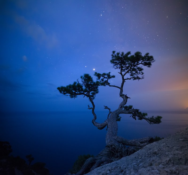 Between night and morning. фото превью