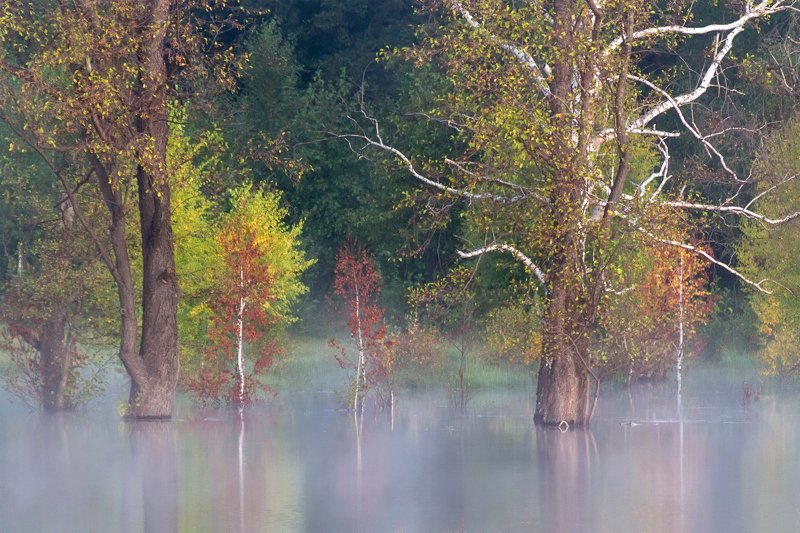 утро, рассвет, восход, туман, лучи Осенний этюдphoto preview
