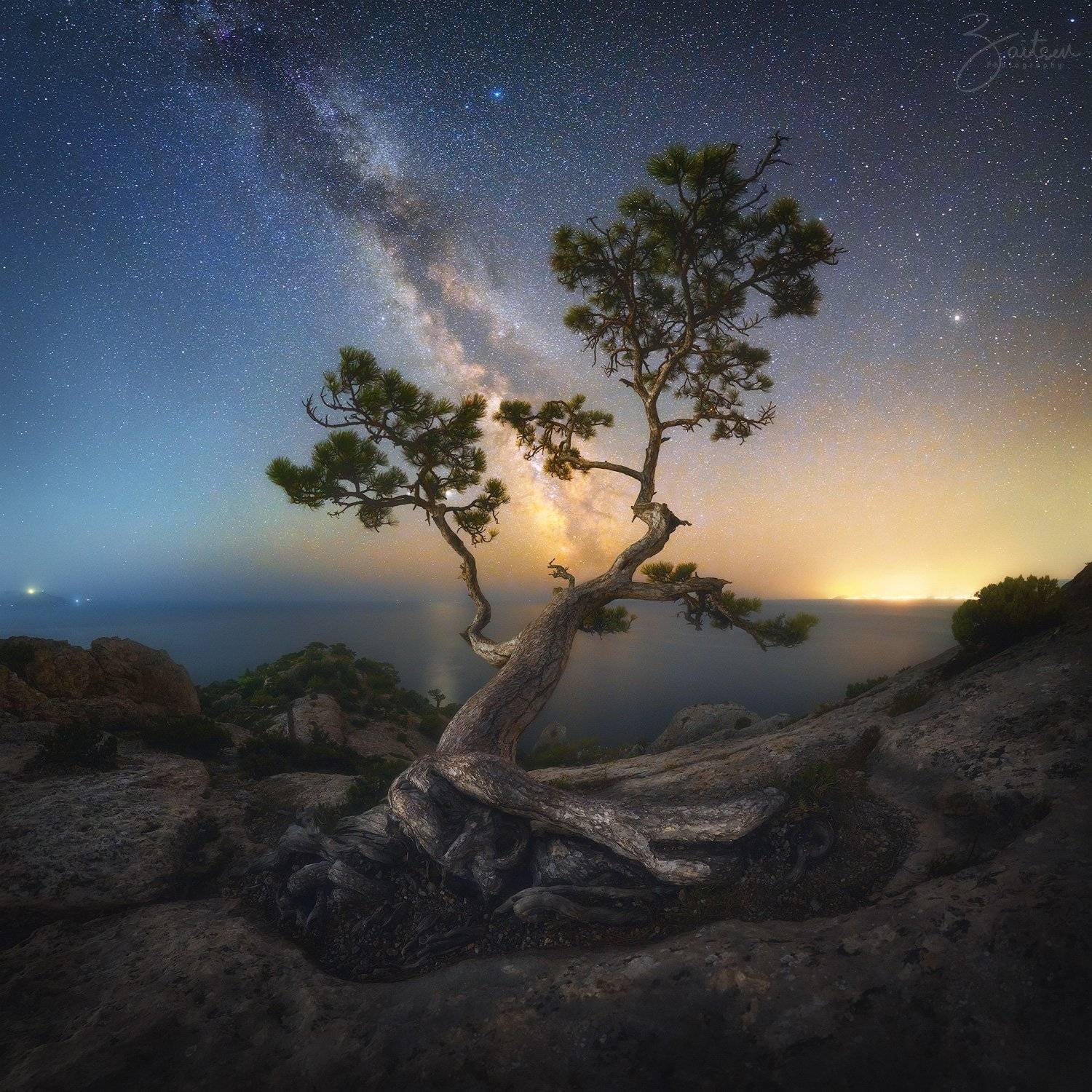 Сосна на вершине Космос. Автор: Женя Зайцев крым, сосна, горы, море, черное море, лето, ночь, млечный путь, звезды, дерево, Женя Зайцев