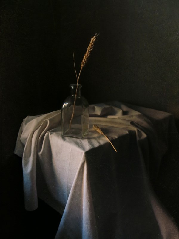 С колоскомphoto preview