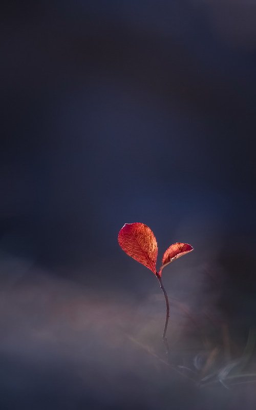 Два билета в осень...photo preview