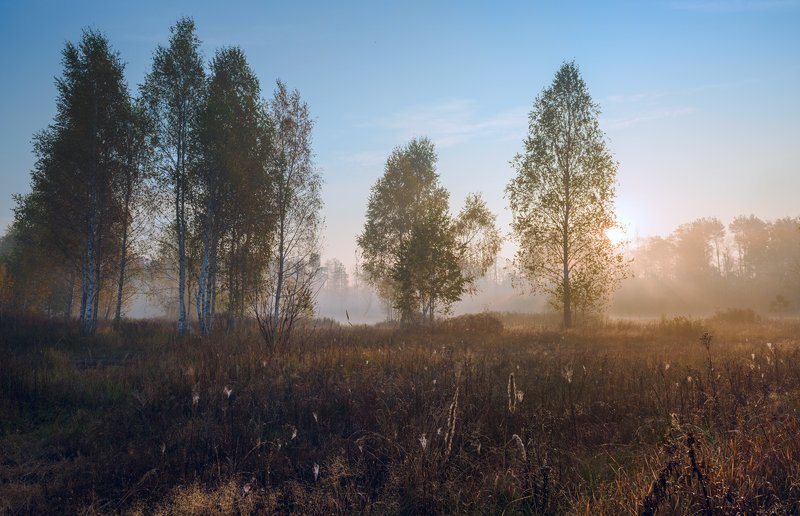 Наедине с рассветомphoto preview