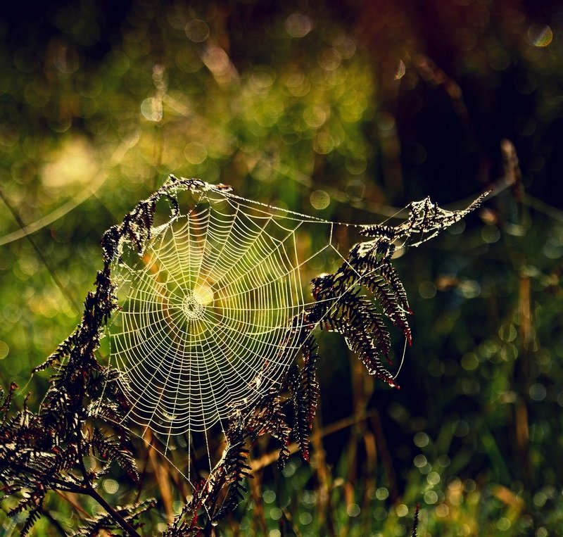 Autumn Is Just Around The Cornerphoto preview