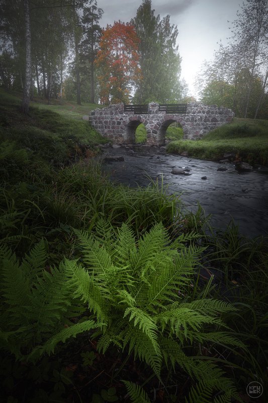 ломоносов, мост, река Туманное утро в Ломоносовеphoto preview