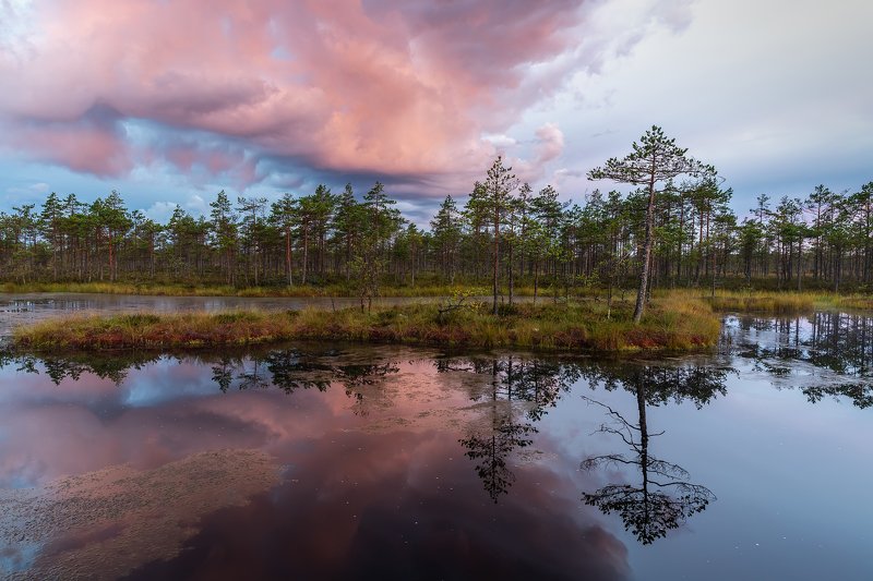 Туман ушел, \