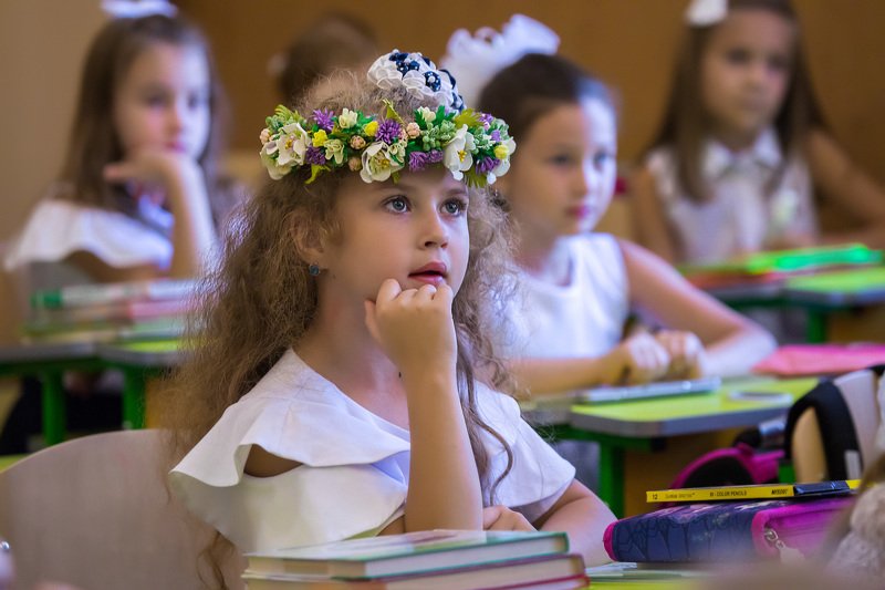 портрет, школа, урок, класс, 1 сентября  фото превью