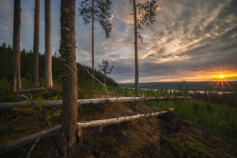 Clouds, Dalecarlia, dead trees, Fallen Trees, Forest, Grejsan, Grejsanberget, Grejsans Fäbod, lake, Lake Amungen, Leachen, morning, Morning Mood, moss, Mountain Grejsan, Mountain Pasture, nature, outdoors, Sun, Sun Star, sunrise, Sweden, Tree trunk, trees Revelationphoto preview
