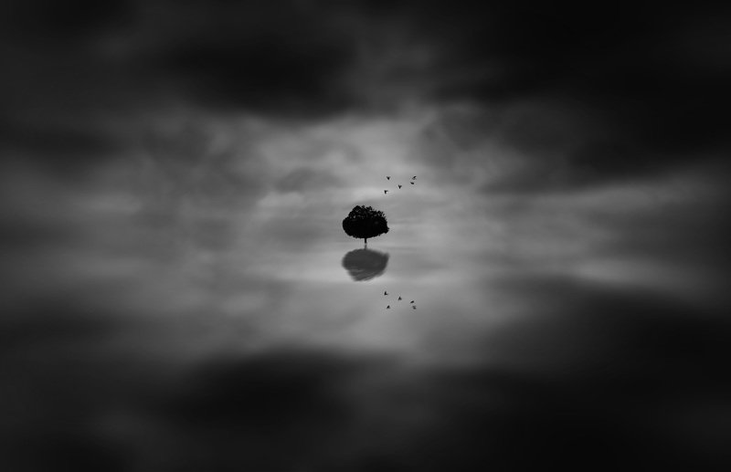 fineart Lonely Treephoto preview