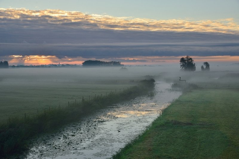 My region this morning.photo preview