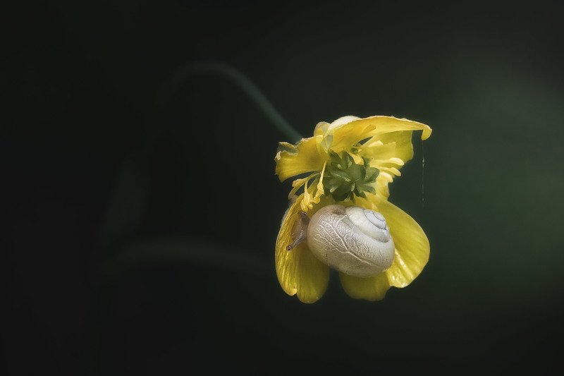 Когда приходит вечерphoto preview