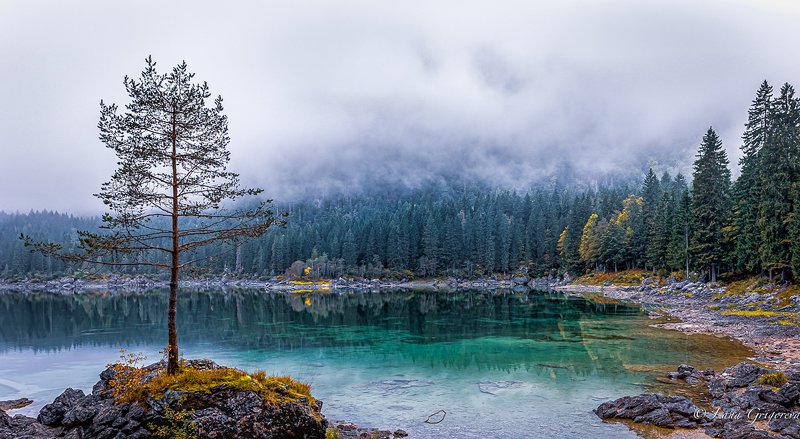 #fusine #lake #landscape #пейзаж #italy #утро Меланхолияphoto preview