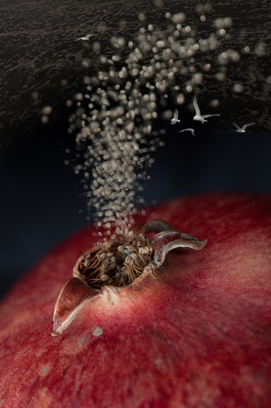 Вдохновениеphoto preview