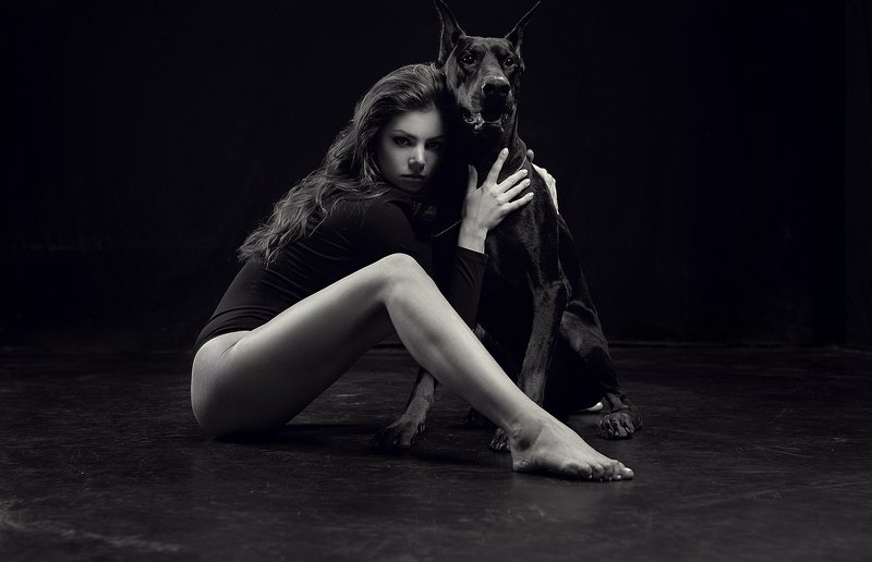 Portrait, 35mm, girl, beauty, retouch, posing, model, studio, photography, fitness, lingerie, sexy, sigma, sony, a7iii, a7m3, art, light, hair, bazarov, glamour, fashionable, elegant, fashion, style, pretty, doberman, awesome photo preview