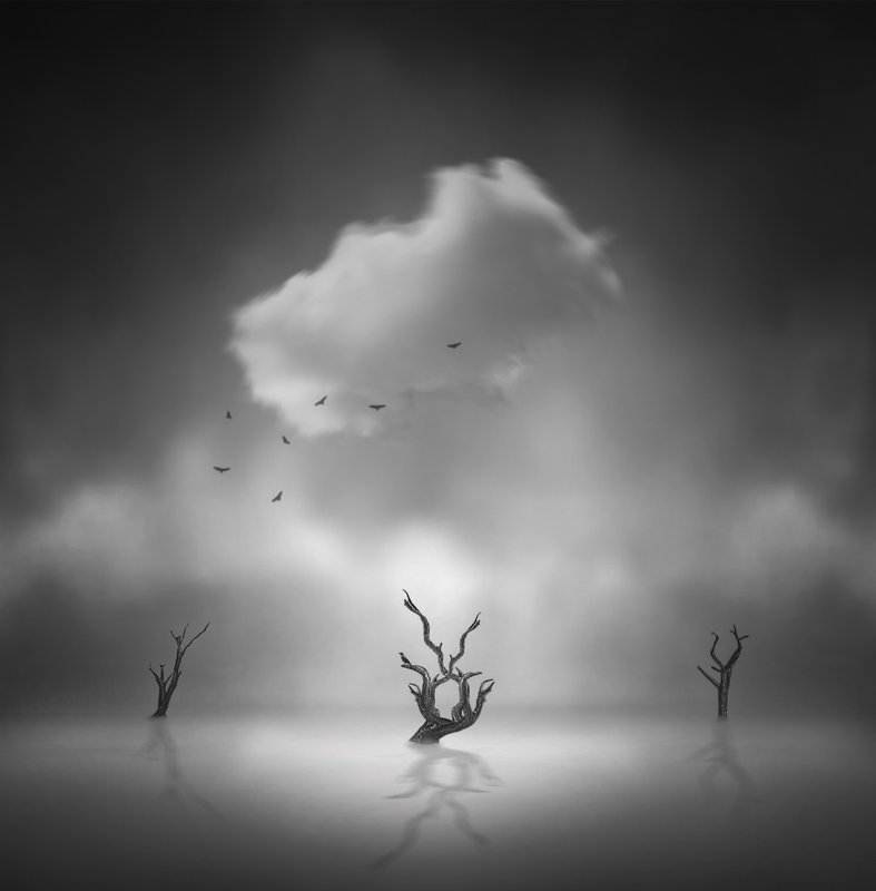 fineart The Silence Of Naturephoto preview