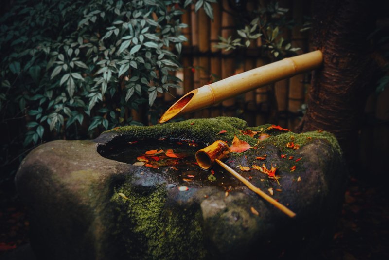 Park at Yokohama Arenaphoto preview