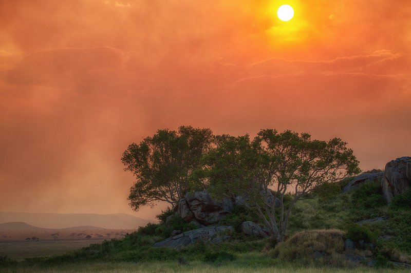 Серенгетиphoto preview