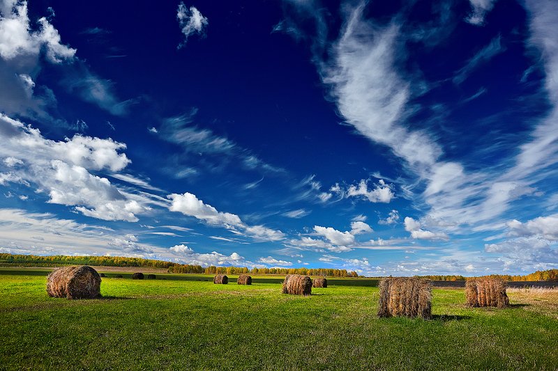 южный урал,оренбургская область, орск, новотроицк,башкирия, башкиртостан Наперегонки!!! фото превью