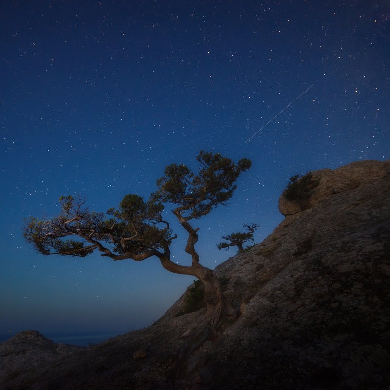 НОЧЬphoto preview