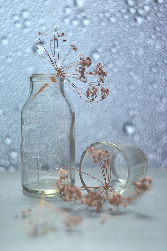 За окном дождь...photo preview