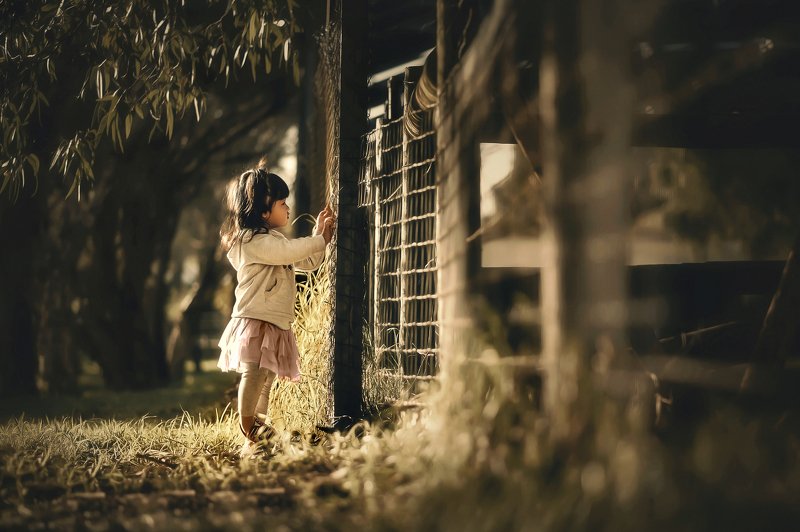 Delphiephoto preview