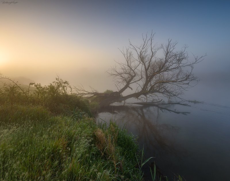 Not Everything Diesphoto preview