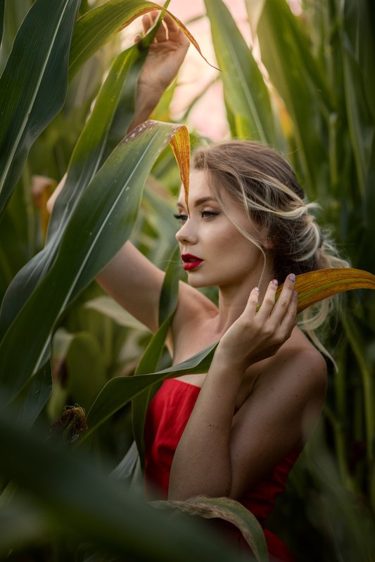 beautiful woman photo preview