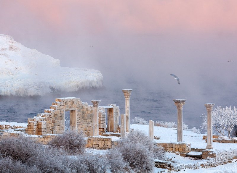 цвет зимыphoto preview