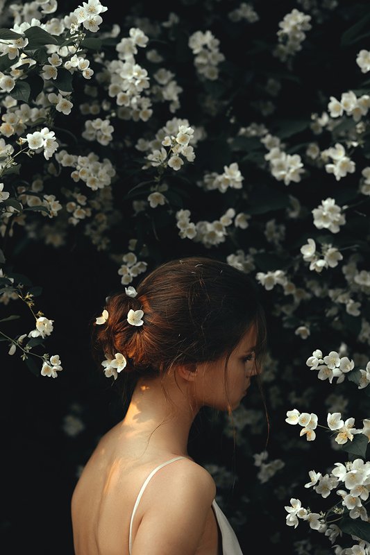 девушка, жасмин, цветы Цветениеphoto preview