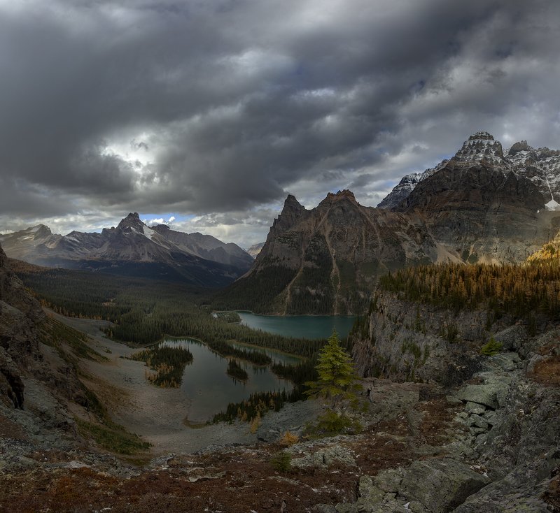 ohara, yoho, larches Дыхание Осениphoto preview