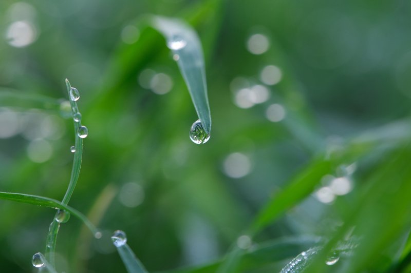 ***1236photo preview