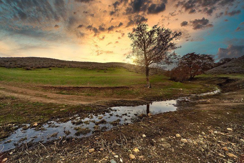 Вечерняя фото превью