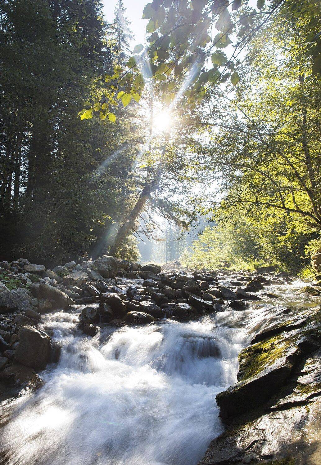 Автор: Alexandr , Alexandr